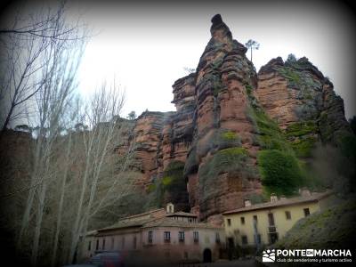 Hoces y cañones del Río Piedra y del Río Gallo -- Laguna Gallocanta - trekking y aventura;hacer t